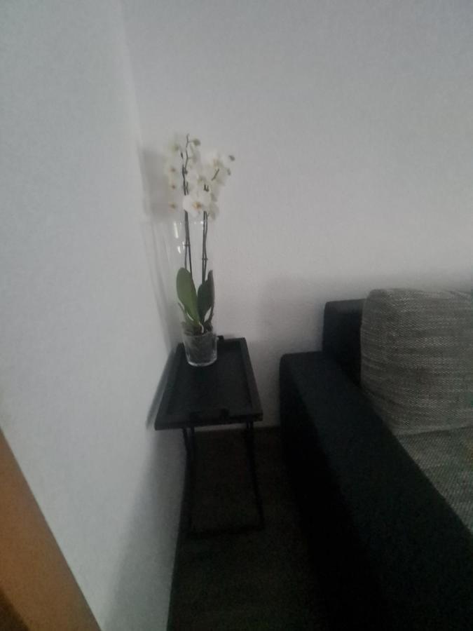 דירות Paula Haus טרייר מראה חיצוני תמונה